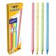 Scatola 12 matite Evolution Stripes BIC