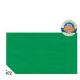 BUSTA 26fogli 50x70cm CARTA VELINA gr31 VERDE PRATO Rex Sadoch