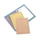 100 CARTELLINE SEMPLICI GRIGIO C/STAMPA 145GR