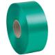 Nastro liscio 6800 50mmx100mt colore verde bandiera 09 Brizzolari